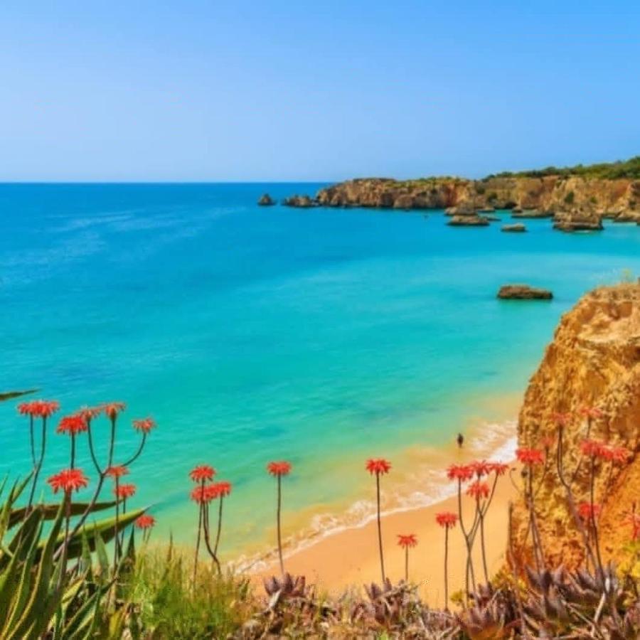 Paraiso De Alvor - A True Paradise In An Amazing Nature Place With Direct Access To The Pool - Peace And Relax - Next To Alvor Village And The Beach Экстерьер фото